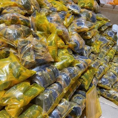 Purple Hornの掘削機のゴム製エンジンの土台E304.5エンジンのクッション